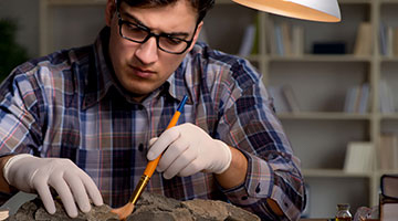 Scientist examining fossil