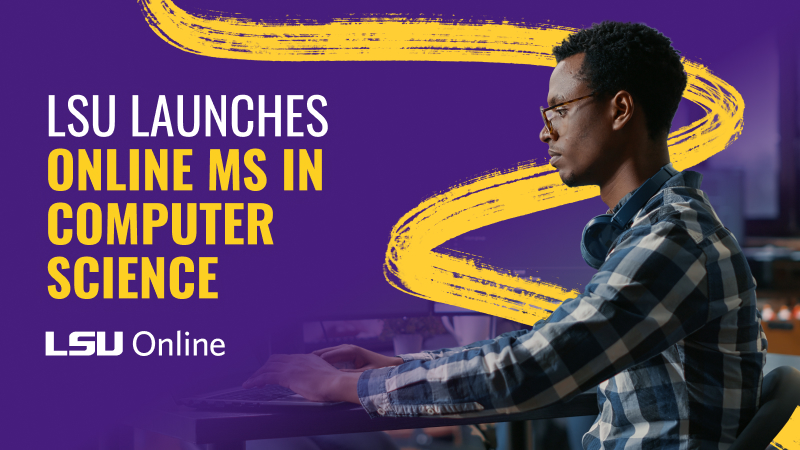 LSU CSE Image
