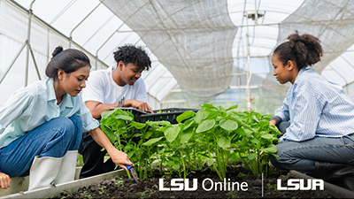 Agribusiness Image